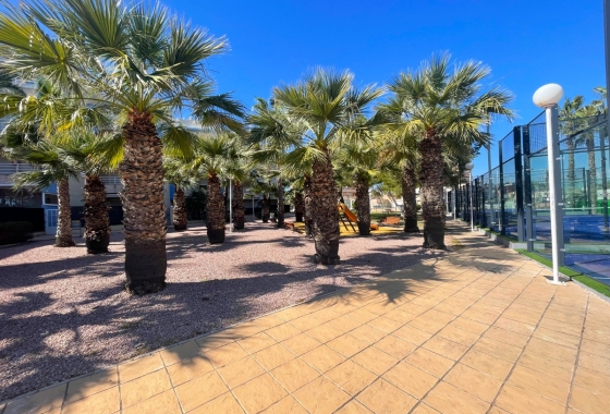 Resale - Apartment - Orihuela Costa - Agua Marina