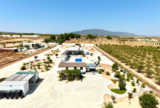 Reventa - Villa - Pinoso