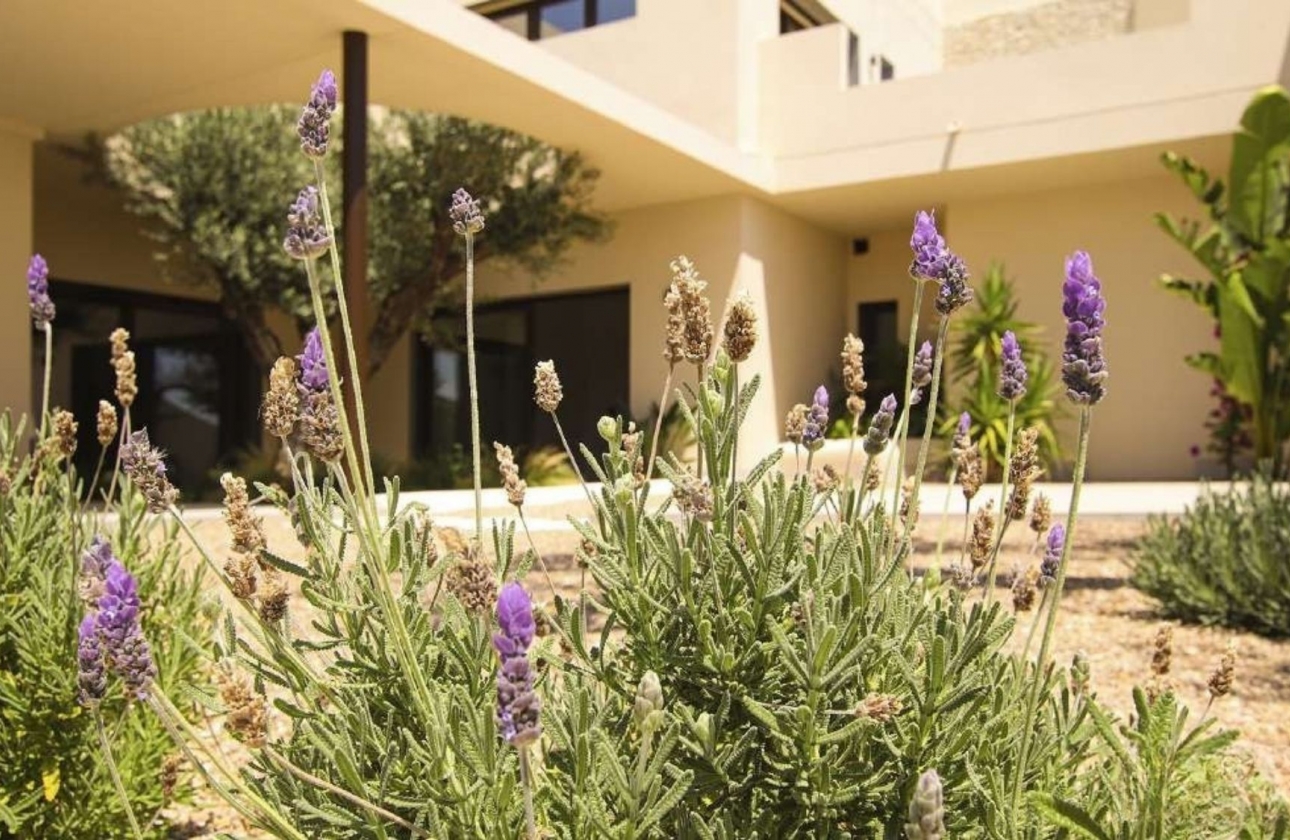 New Build - Villa - La Marina