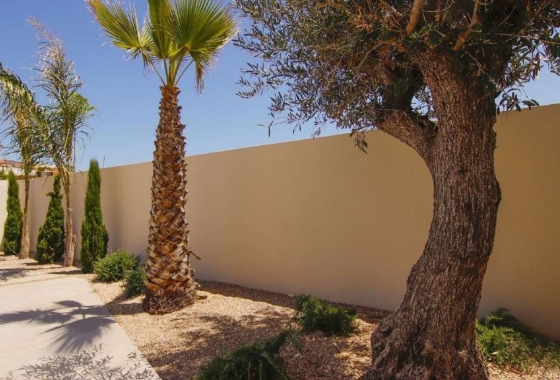 New Build - Villa - La Marina