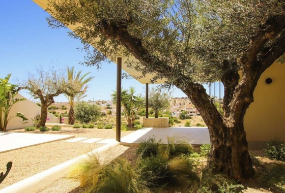 New Build - Villa - La Marina