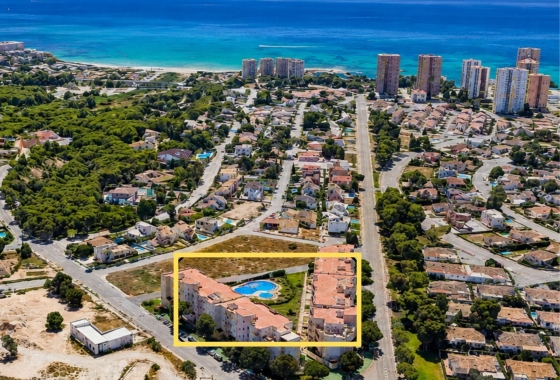 Resale - Apartment - Dehesa de campoamor - Campoamor