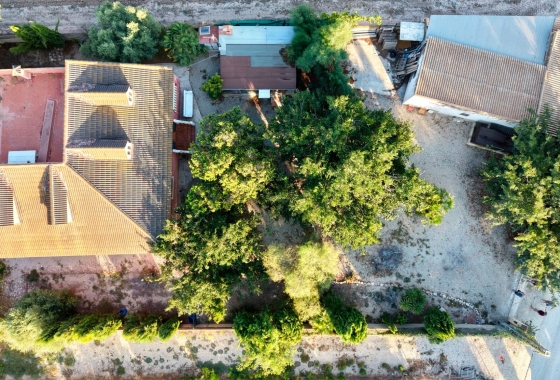 Reventa - Villa - Catral