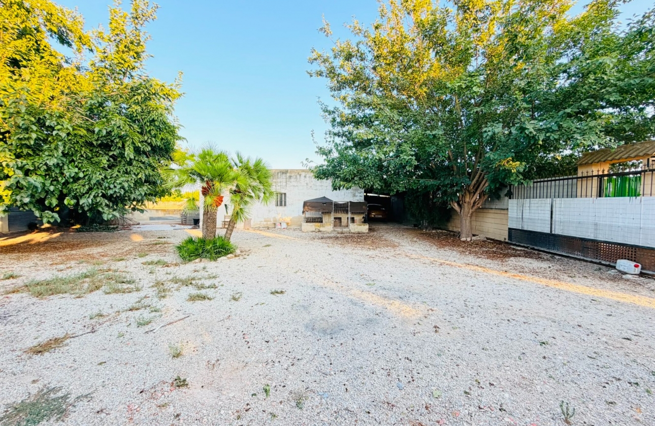 Reventa - Villa - Catral
