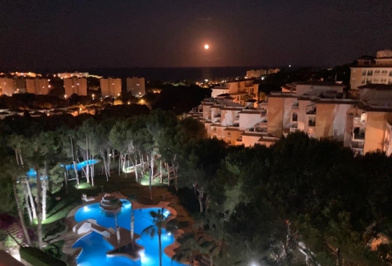 Resale - Apartment - Orihuela Costa - Altos de Campoamor
