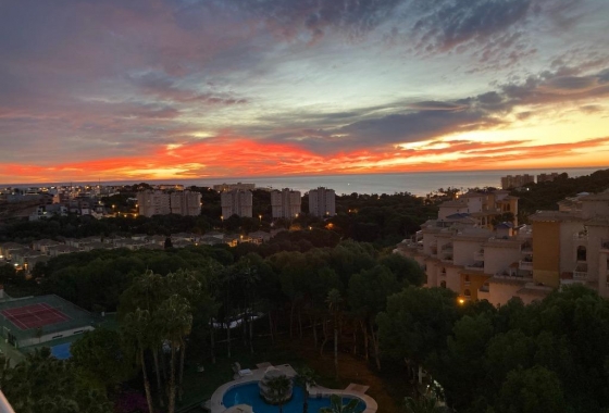 Resale - Apartment - Orihuela Costa - Altos de Campoamor