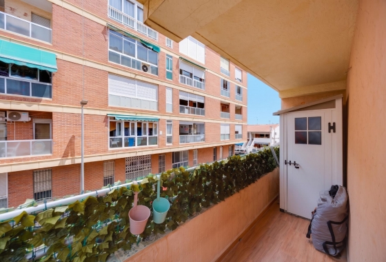 Resale - Apartment - Torrevieja - Playa de los Náufragos