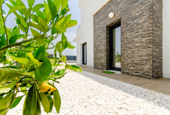 Nouvelle construction - Villa - Vistabella