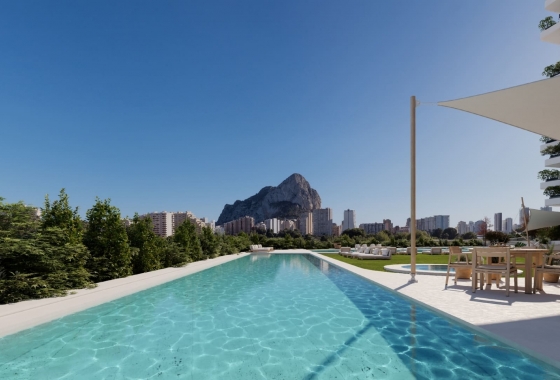 Obra nueva - Apartamento - Calpe