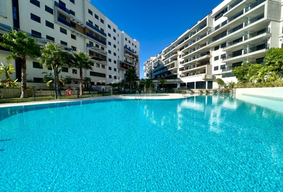 Resale - Apartment - Dehesa de campoamor - Campoamor
