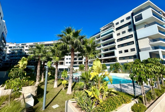 Resale - Apartment - Dehesa de campoamor - Campoamor