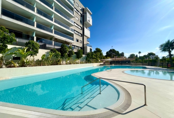 Resale - Apartment - Dehesa de campoamor - Campoamor