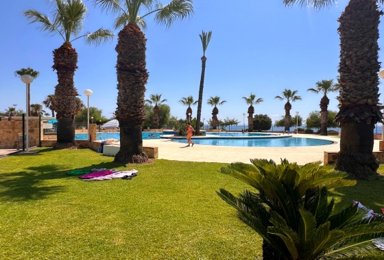 Wiederverkauf - Wohnung - Orihuela Costa - Agua Marina