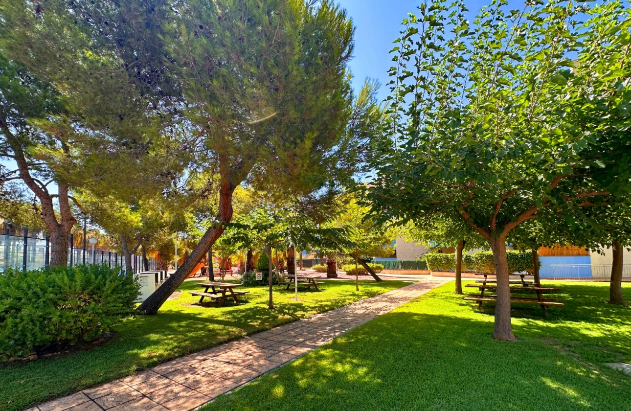 Wiederverkauf - Wohnung - Orihuela Costa - Agua Marina