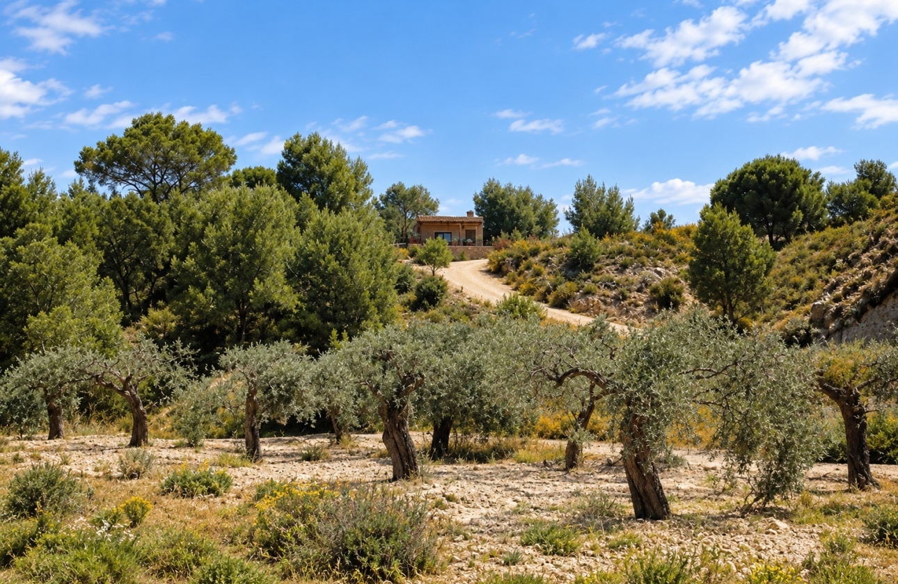 Revente - Villa - Murcia