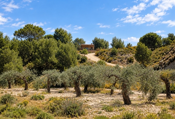 Revente - Villa - Murcia