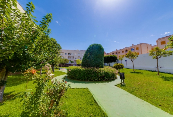 Resale - Apartment - Torrevieja - Playa del Acequión