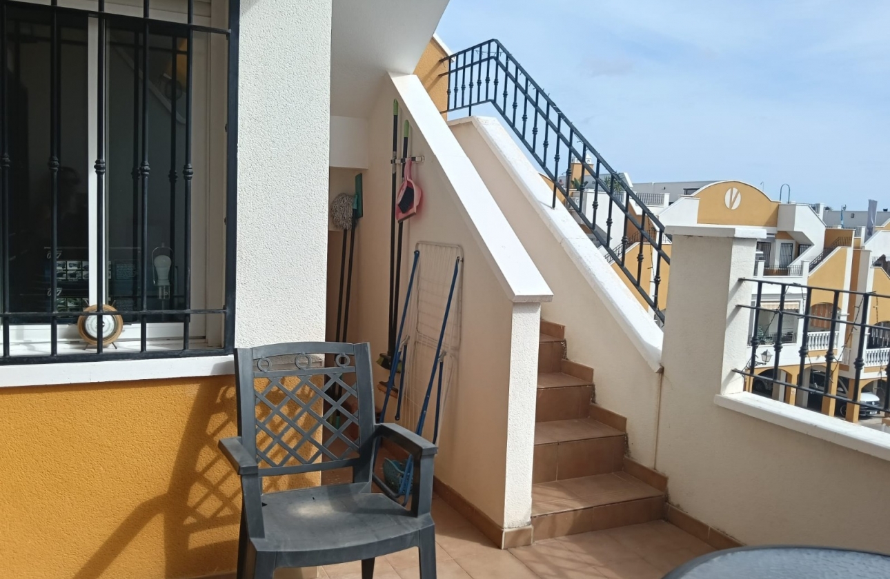Resale - Apartment - Los Montesinos - Urbanizacion montesol