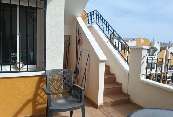 Resale - Apartment - Los Montesinos - Urbanizacion montesol