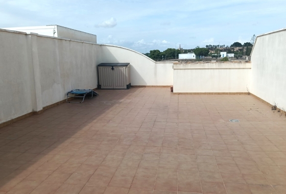 Resale - Apartment - Los Montesinos - Urbanizacion montesol