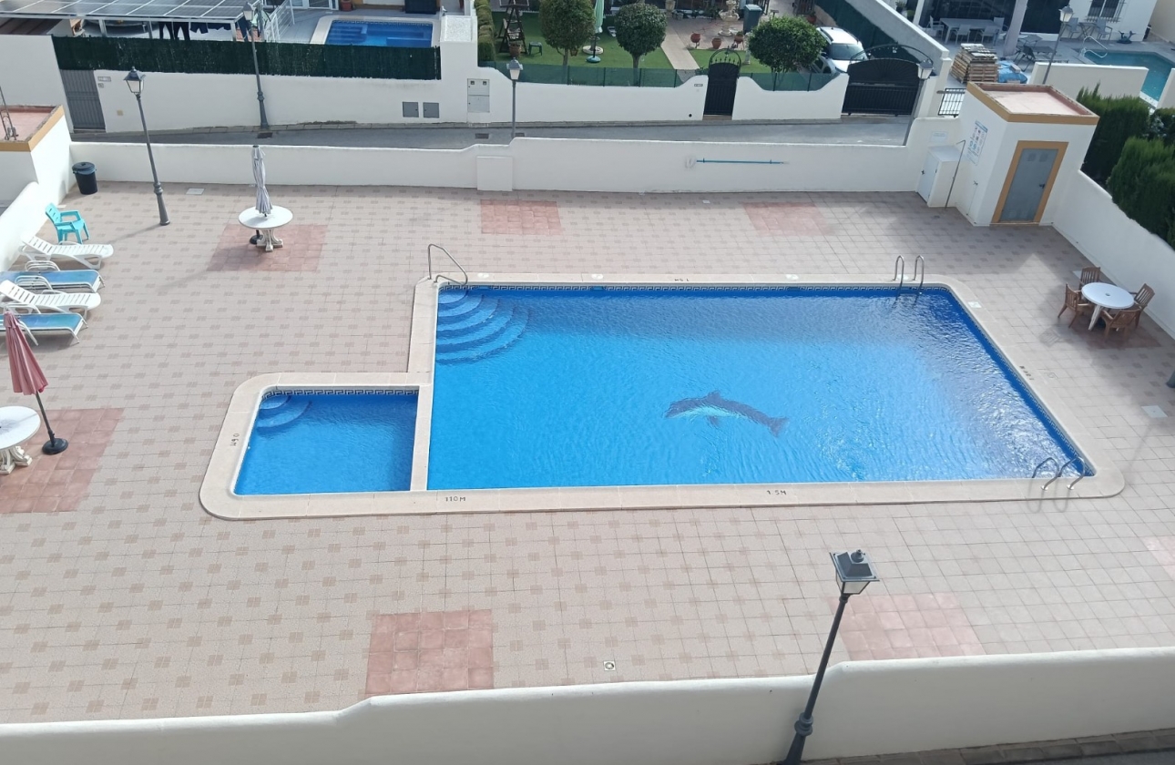 Resale - Apartment - Los Montesinos - Urbanizacion montesol