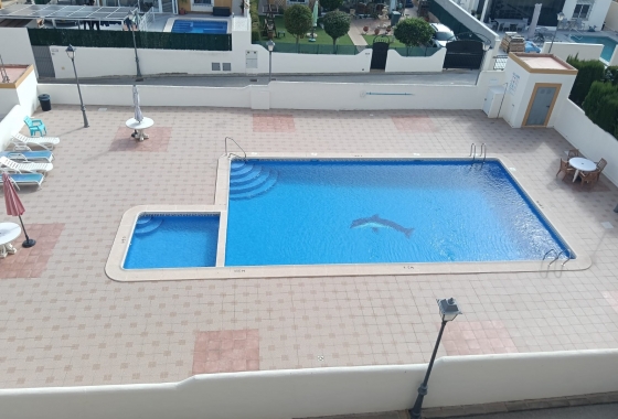 Resale - Apartment - Los Montesinos - Urbanizacion montesol