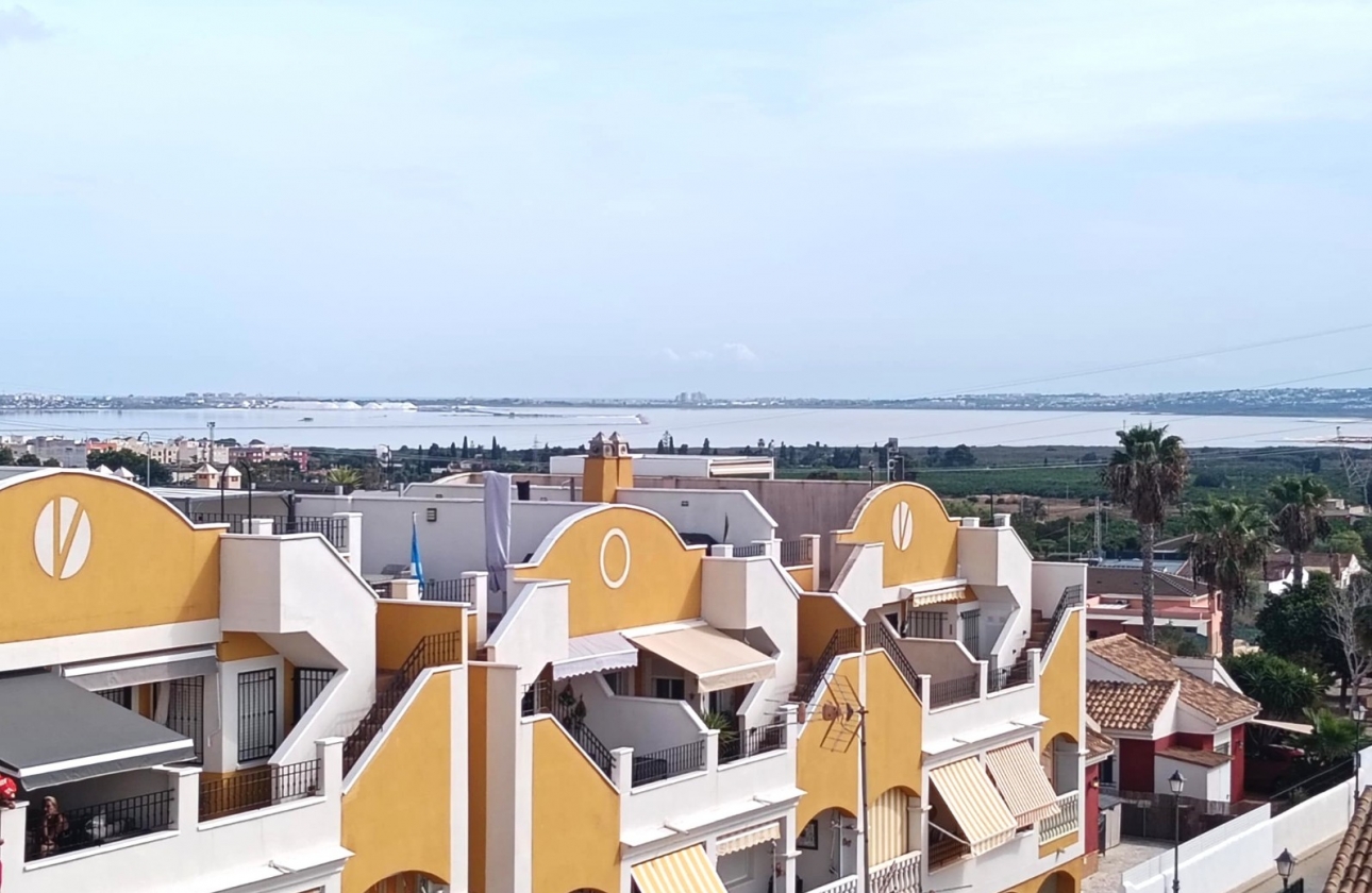 Resale - Apartment - Los Montesinos - Urbanizacion montesol