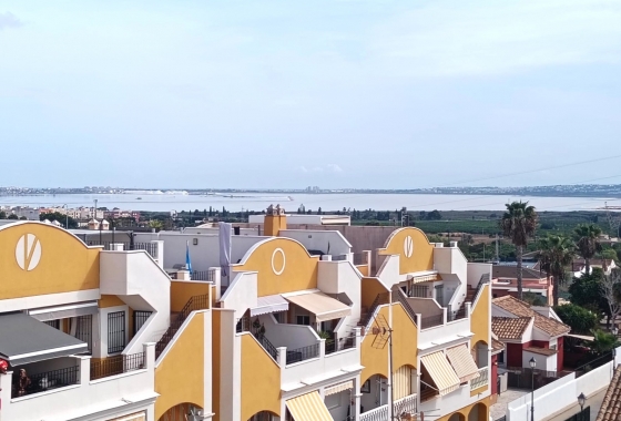 Resale - Apartment - Los Montesinos - Urbanizacion montesol