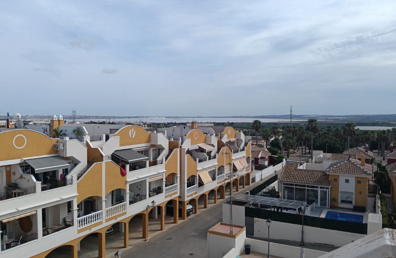 Resale - Apartment - Los Montesinos - Urbanizacion montesol