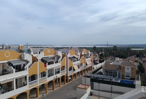 Resale - Apartment - Los Montesinos - Urbanizacion montesol