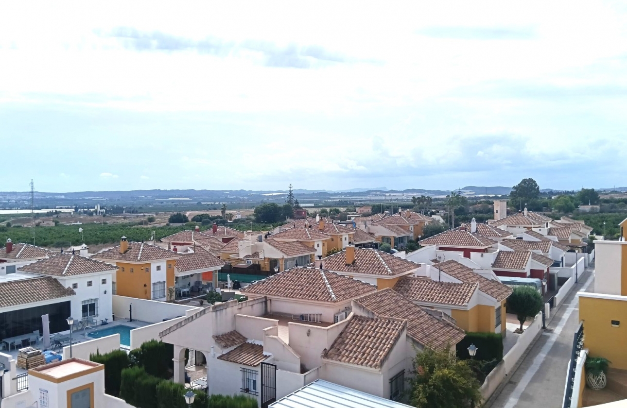 Resale - Apartment - Los Montesinos - Urbanizacion montesol