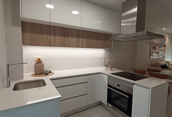 Nouvelle construction - Appartement - Mil Palmeras