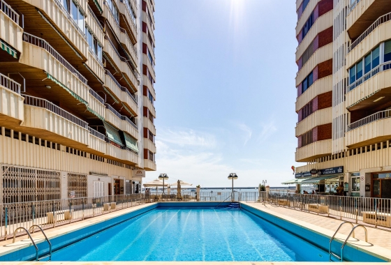 Revente - APARTAMENTO - Torrevieja - Playa del Acequión