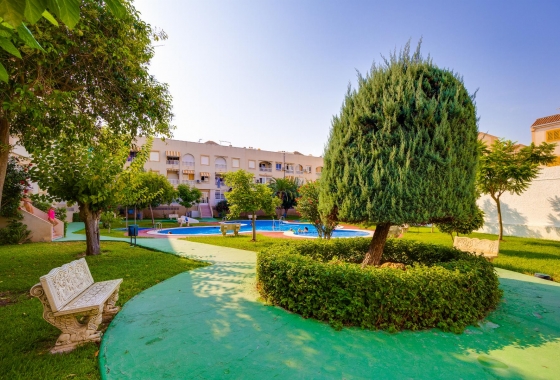 Resale - Apartment - Torrevieja - Playa del Acequión