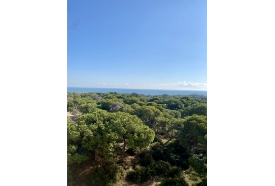 New Build - Apartment - Guardamar del Segura