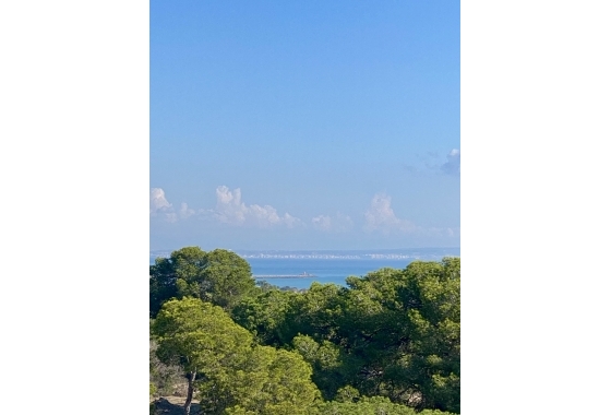 New Build - Apartment - Guardamar del Segura