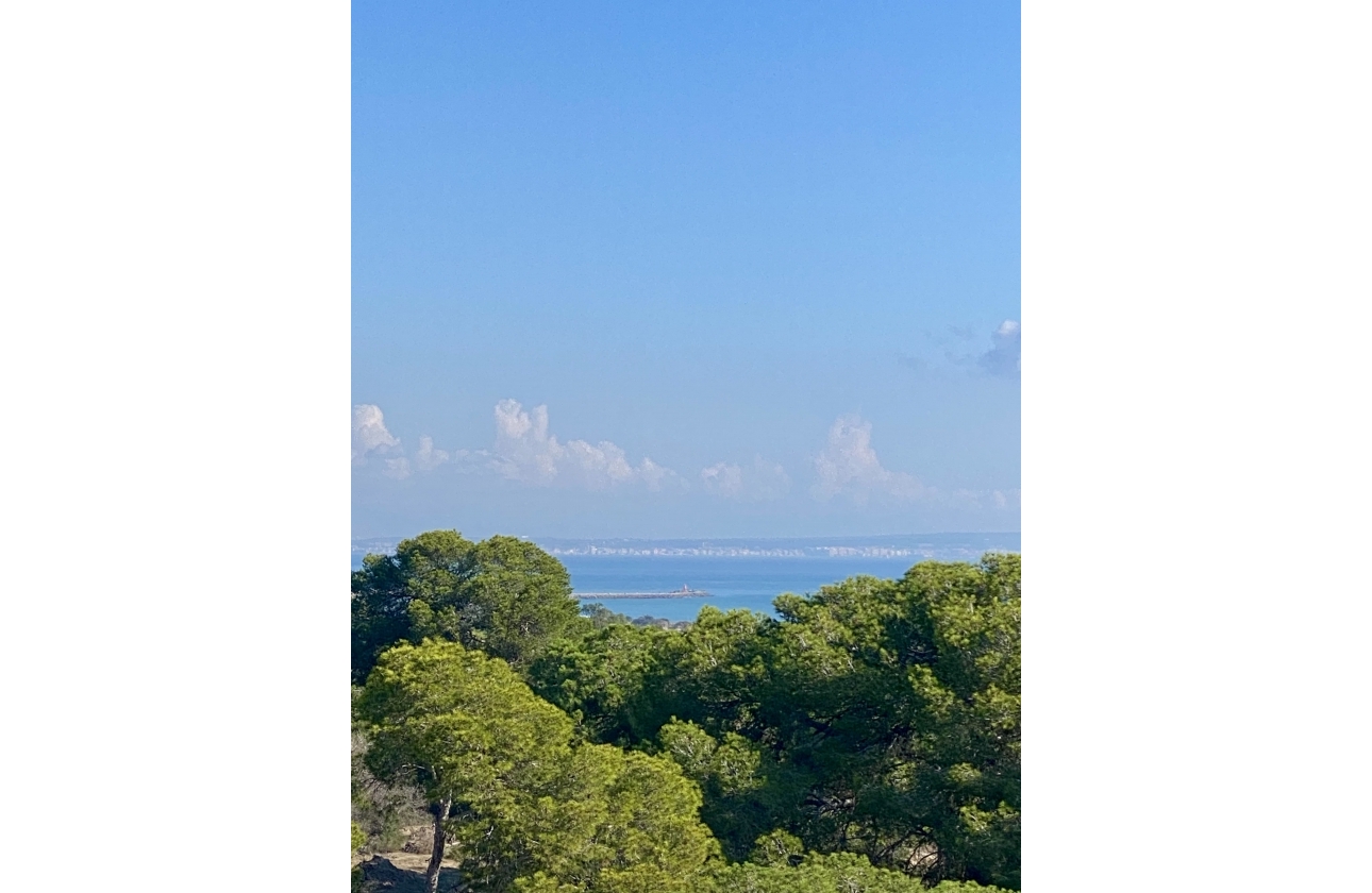 New Build - Apartment - Guardamar del Segura