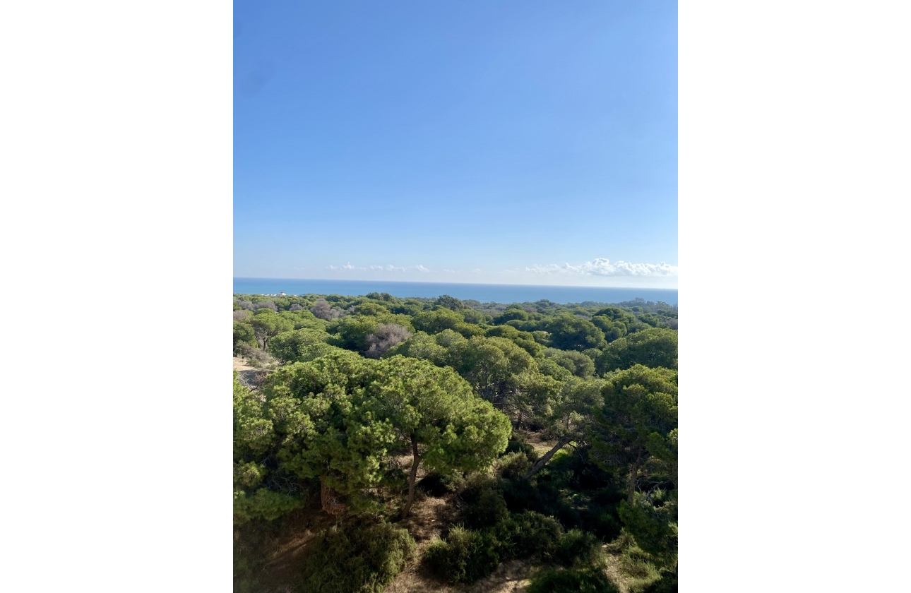 Obra nueva - Apartamento - Guardamar del Segura
