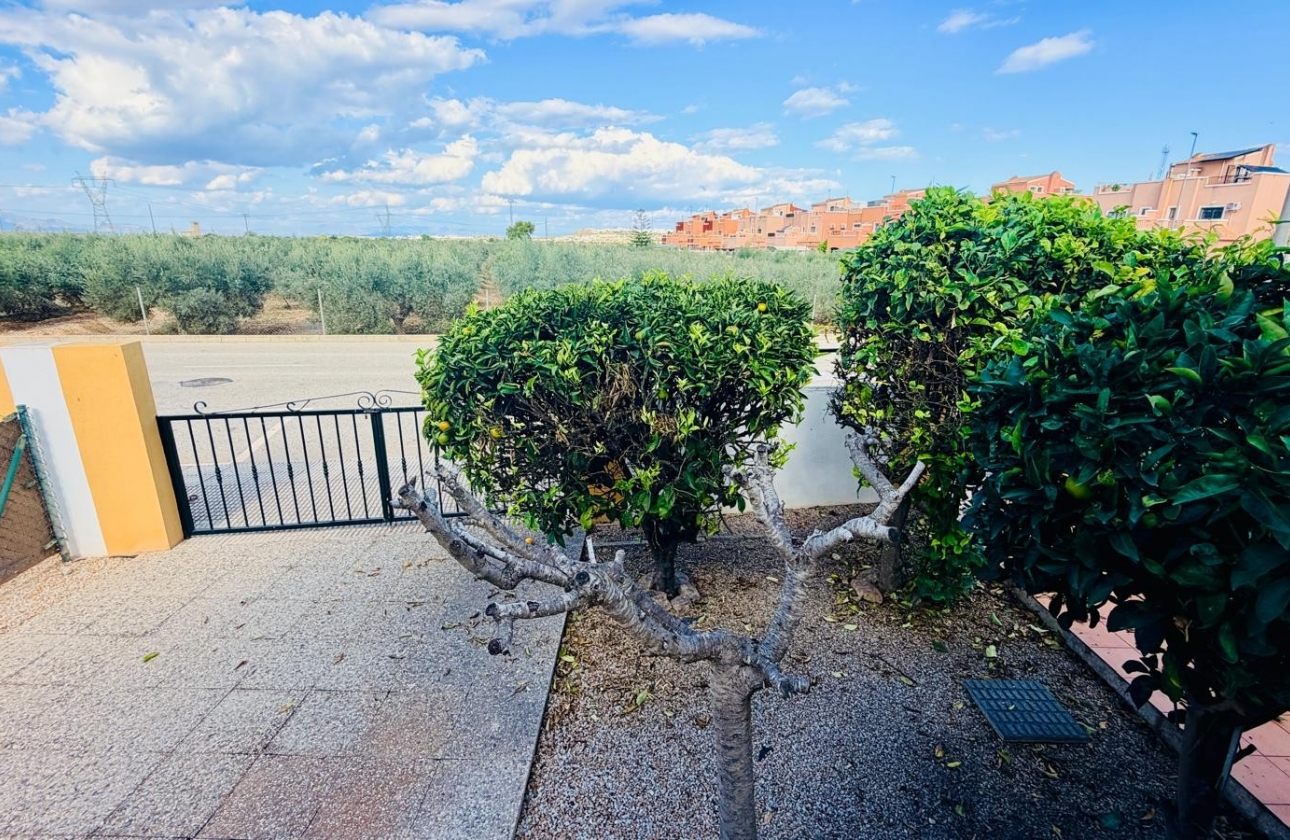 Resale - Villa - Los Montesinos - La Herrada