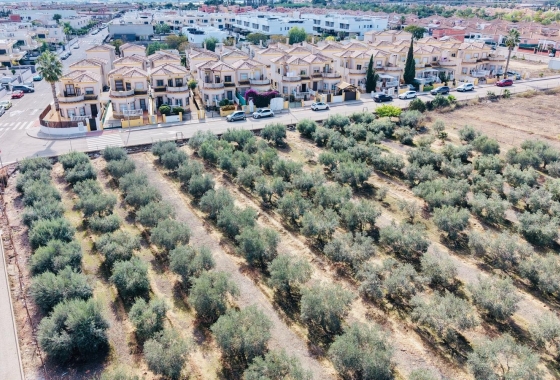 Resale - Villa - Los Montesinos - La Herrada