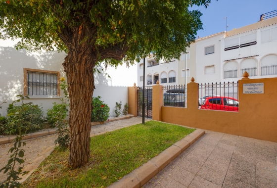 Wiederverkauf - Bungalow - Torrevieja - playa de los naufragos