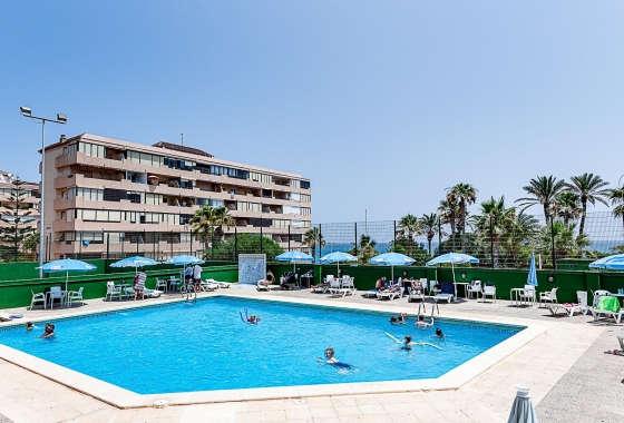 Wiederverkauf - APARTAMENTO - Torrevieja - CABO CERVERA