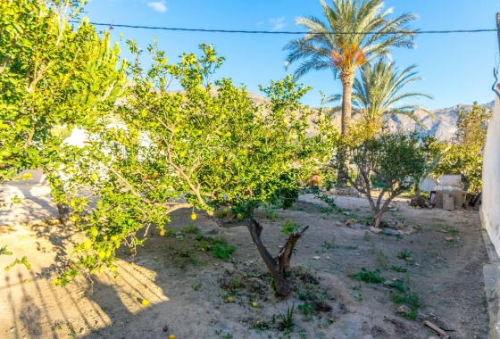 Wiederverkauf - Country House - Orihuela - Raiguero de Bonanza