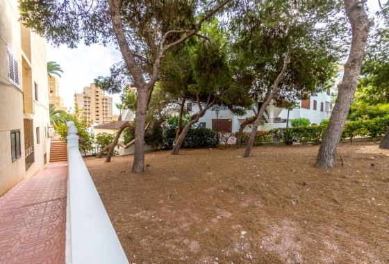 Wiederverkauf - Wohnung - Torrevieja - Cabo Cervera