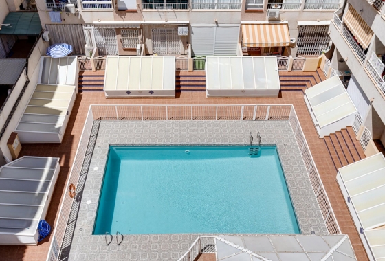 Wiederverkauf - Wohnung - Torrevieja - Curva del Palangre