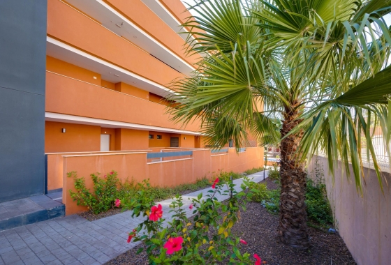 Resale - Apartment - Orihuela-Costa - Las Filipinas