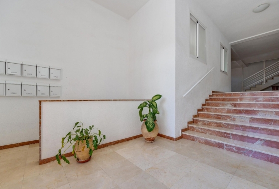 Reventa - Apartamento - San Pedro del Pinatar