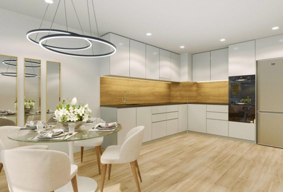 Obra nueva - Penthouse - Torrevieja