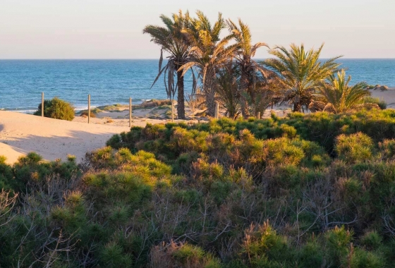 Resale - Apartment - Guardamar del Segura - El Raso