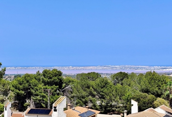 Resale - Villa - San Miguel de Salinas